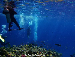 At the end of dive, group is rising up. by Fatih Sökmen 